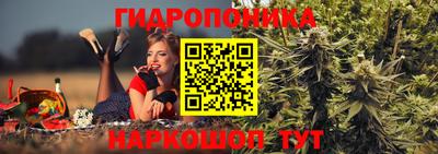 скорость Заволжье