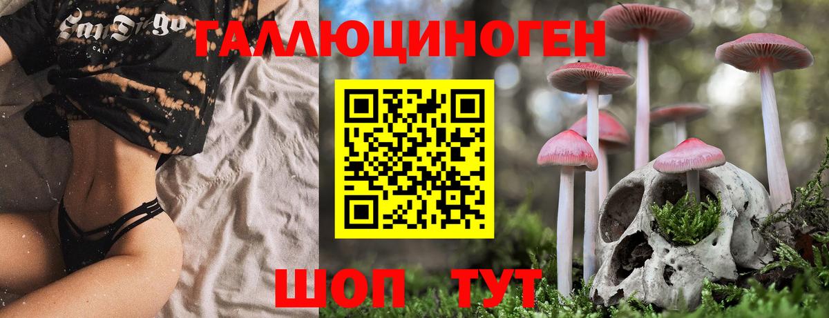 Псилоцибиновые грибы Psilocybine cubensis Верхняя Пышма