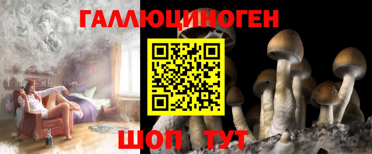 Верхняя Пышма  Галлюциногенные грибы мухоморы  Псилоцибиновые грибы Psilocybe  Вход с VPN 